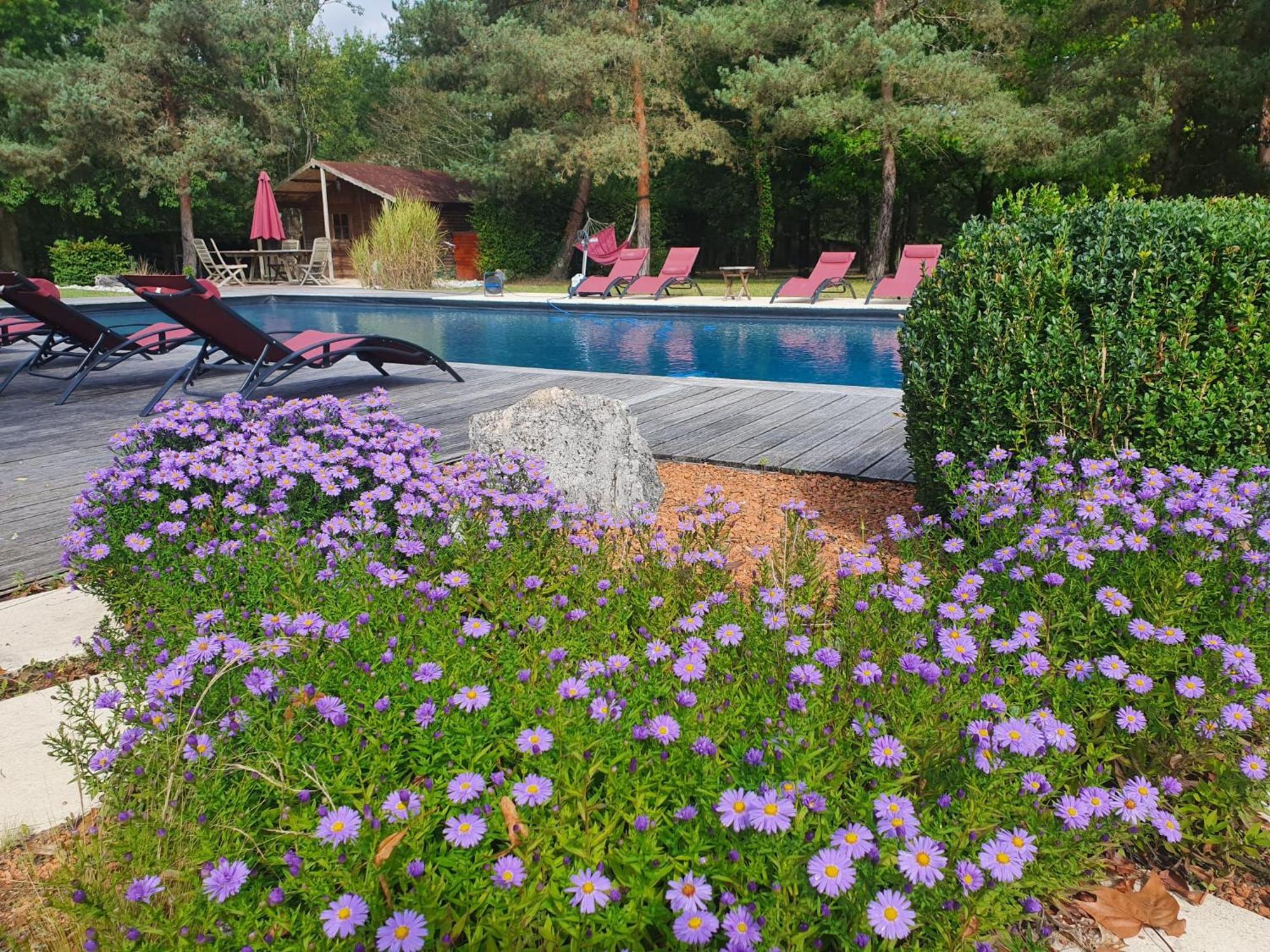 Вілла Domaine De Grand-Pas Vernou-en-Sologne Екстер'єр фото